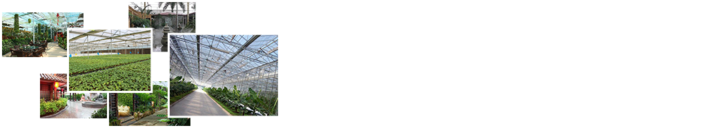 24小時(shí)免費(fèi)咨詢(xún)、免費(fèi)技術(shù)指導(dǎo)