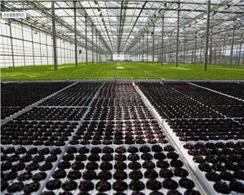 實(shí)力雄厚，品質(zhì)保證！